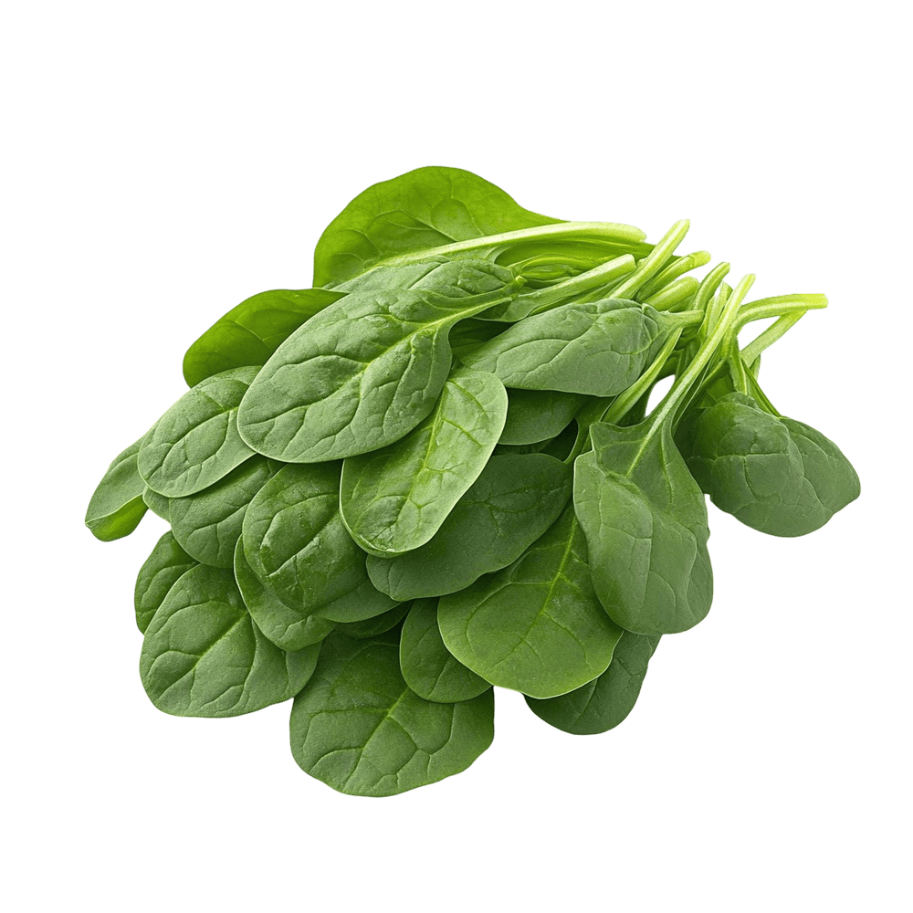 Green Spinach