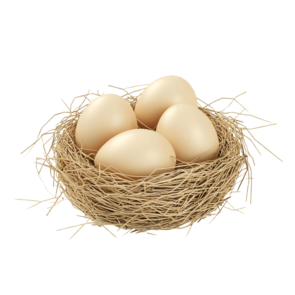Fresh Eggs (4-Piece)