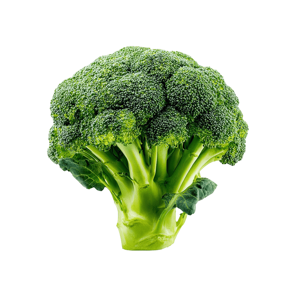 Fresh Broccoli