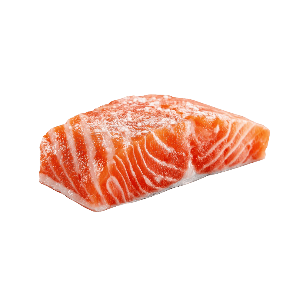 Salmon Fillet