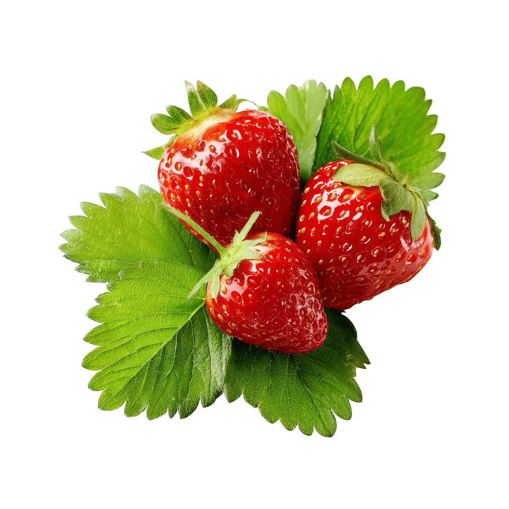 Fresh Strawberries