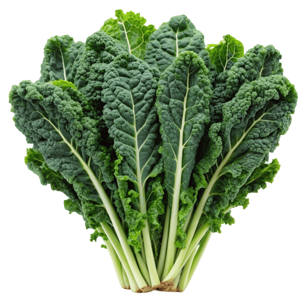 Organic Kale