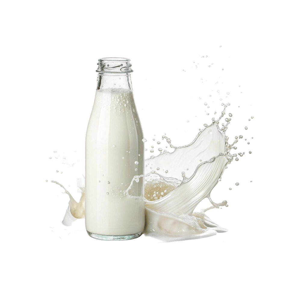 Whole Milk